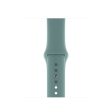 Apple 40mm Cactus Sport Band - Regular for Watch Online now