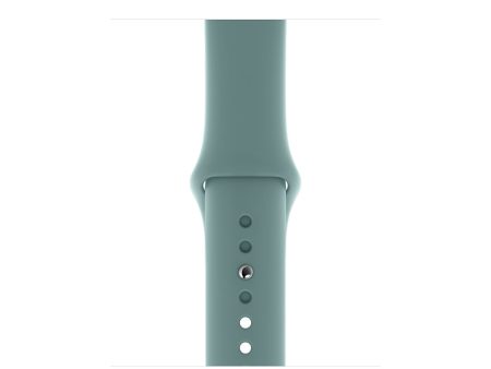 Apple 40mm Cactus Sport Band - Regular for Watch Online now