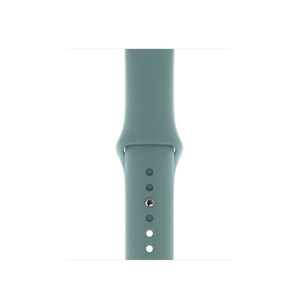 Apple 40mm Cactus Sport Band - Regular for Watch Online now