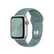 Apple 40mm Cactus Sport Band - Regular for Watch Online now