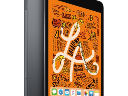 Apple iPad mini Wi-Fi + Cellular 256GB - Space Gray 5th Gen (2019) For Discount